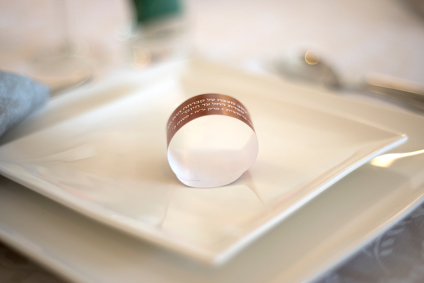 Parsha Rings – Weekly Parsha Paper Napkin Rings