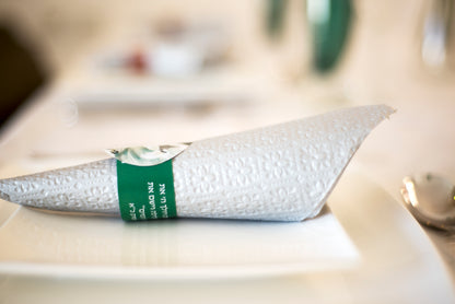 Parsha Rings – Weekly Parsha Paper Napkin Rings