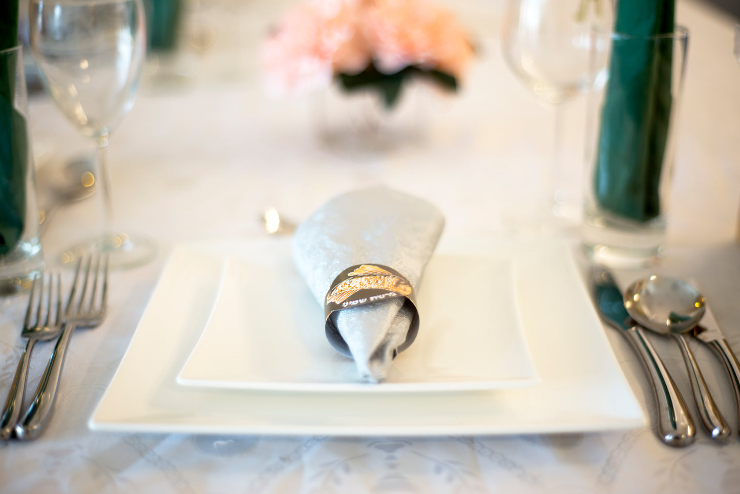 Parsha Rings – Weekly Parsha Paper Napkin Rings