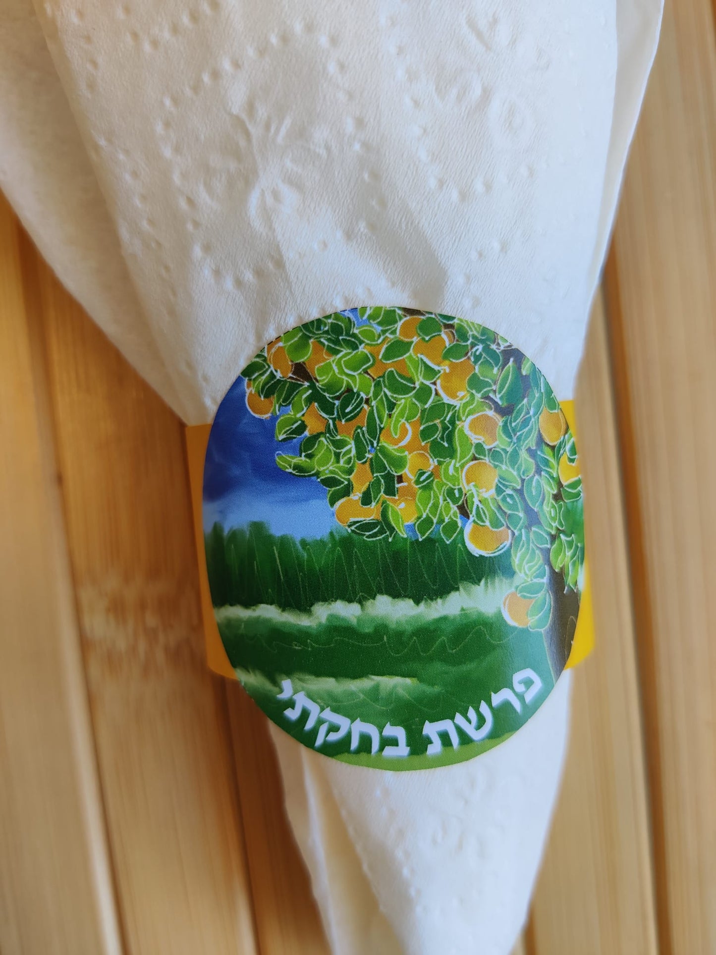 Parsha Rings